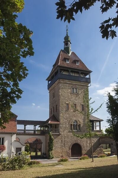 Winehouse, Pfalz Wine area, Germany, Europe