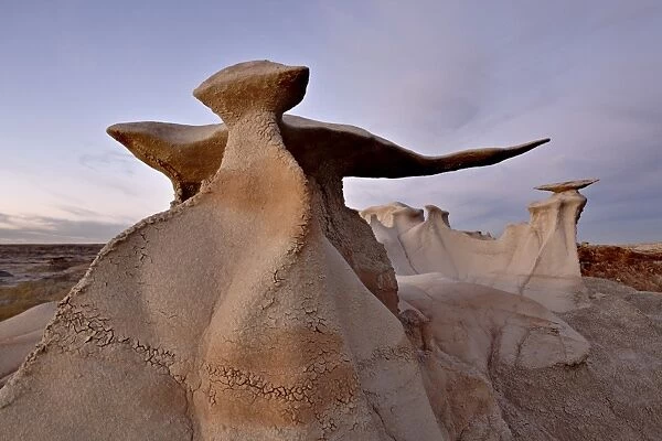 The Wings at dusk, Bisti Wilderness, New Mexico, United States of America, North America