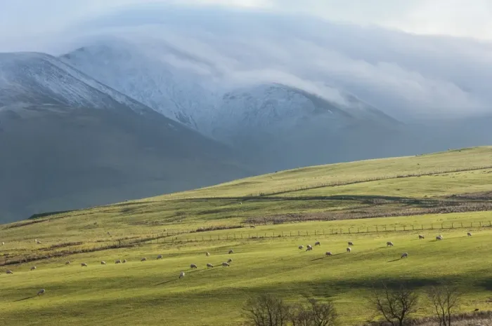 Framed Print : Winter clouds clinging to the Skiddaw Massif, sheep grazing on the fellside, Back o Skiddaw, Cumbria, England, United Kingdom, Europe Framed Print : Winter clouds clinging to the Skiddaw Massif, sheep grazing on the fellside, Back o Skiddaw, Cumbria, England, United Kingdom, Europe