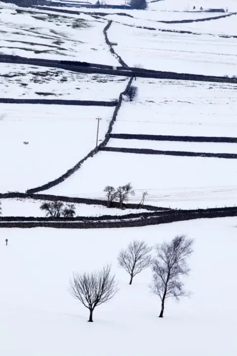 Framed Print : Winter fields near Burnsall, Yorkshire, England, United Kingdom, Europe Framed Print : Winter fields near Burnsall, Yorkshire, England, United Kingdom, Europe