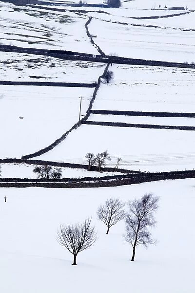 Winter fields near Burnsall, Yorkshire, England, United Kingdom, Europe
