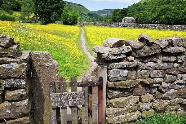 Winter Food for Stock sign on gate in meadow at Muker, Swaledale, Yorkshire Dales, Yorkshire, England, United Kingdom, Europe
