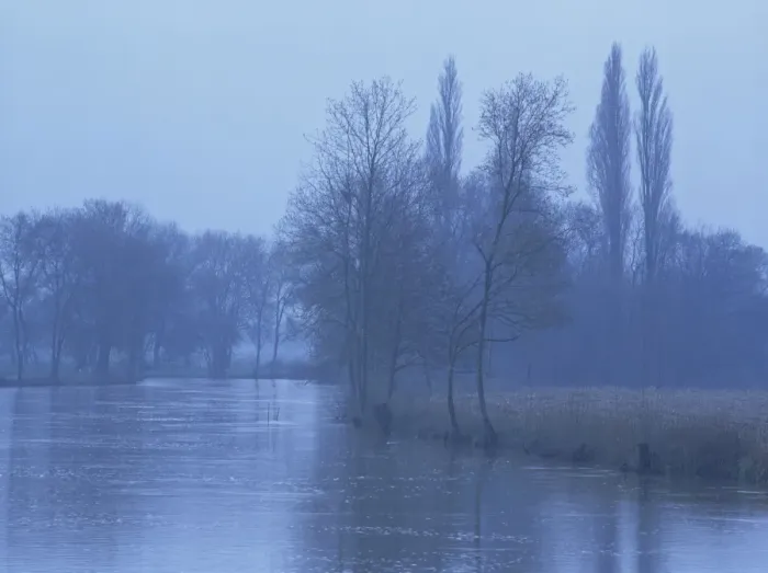 Framed Print : Winter landscape of bare trees and the River Loir near Le Lude, in Sarthe Framed Print : Winter landscape of bare trees and the River Loir near Le Lude, in Sarthe