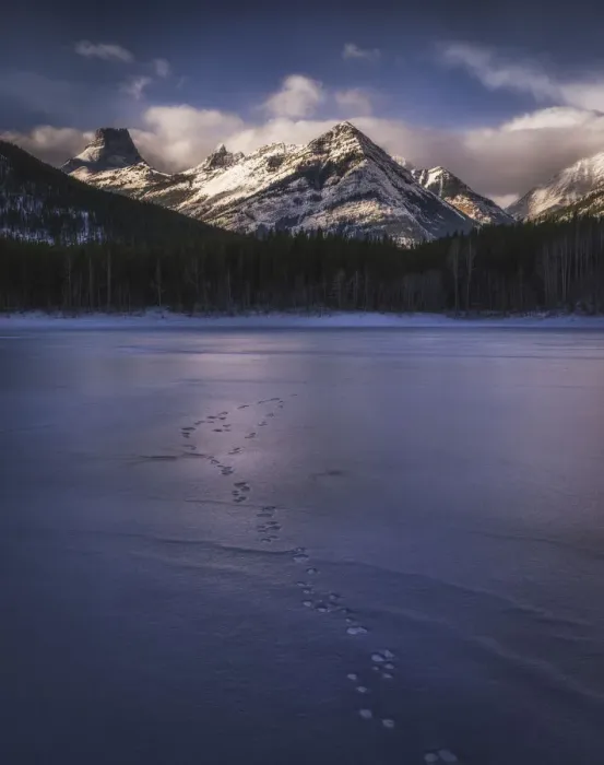 Framed Print : Winter landscape of the Canadian Rockies at Wedge Pond, tracks of wildlife on frozen lake Framed Print : Winter landscape of the Canadian Rockies at Wedge Pond, tracks of wildlife on frozen lake