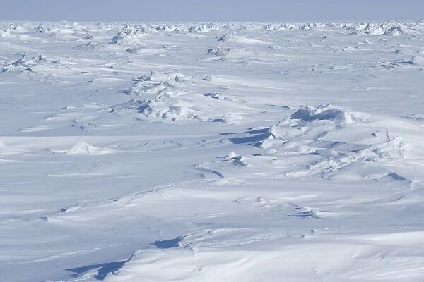 Winter landscape at Churchill, Hudson Bay, Manitoba, Canada, North America