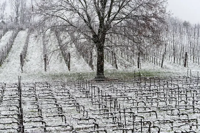Framed Print : Winter Landscape in Franciacorta Country area, Brescia province, Lombardy, Italy, Europe