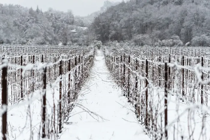 Framed Print : Winter Landscape in Franciacorta Country area, Brescia province, Lombardy, Italy, Europe Framed Print : Winter Landscape in Franciacorta Country area, Brescia province, Lombardy, Italy, Europe