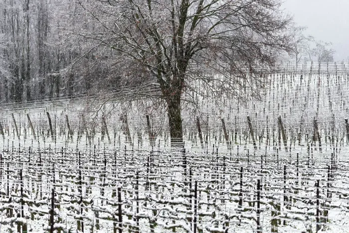 Framed Print : Winter Landscape in Franciacorta Country area, Brescia province, Lombardy, Italy, Europe Framed Print : Winter Landscape in Franciacorta Country area, Brescia province, Lombardy, Italy, Europe