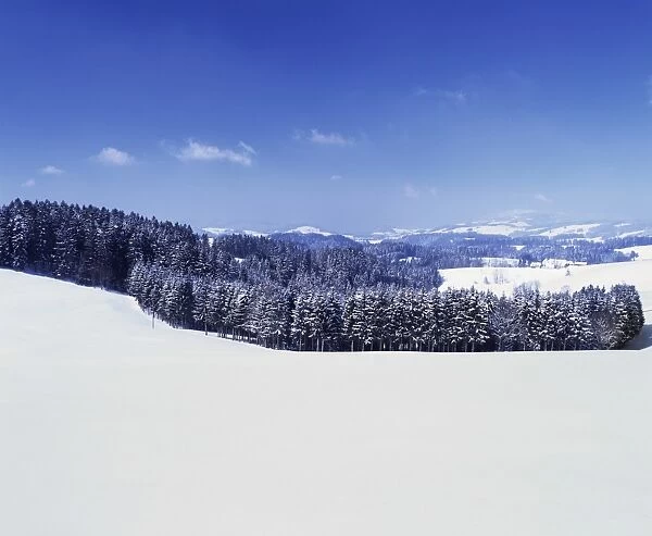 Winter landscape, Glottertal Valley, Black Forest, Baden Wurttemberg, Germany, Europe