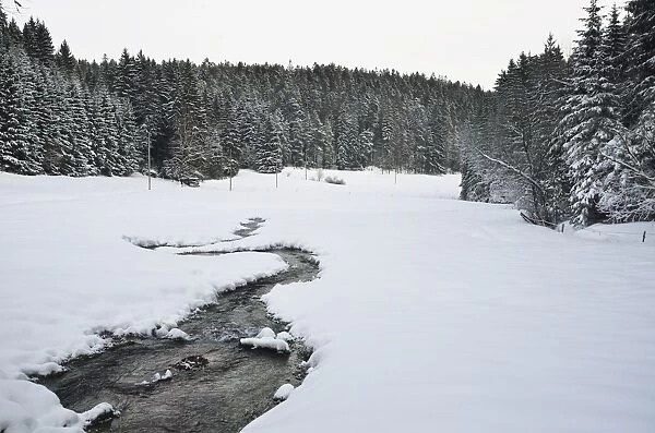 Winter landscape, near Koenigsfeld, Black Forest, Baden-Wurttemberg, Germany, Europe
