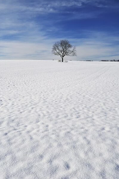 Winter landscape, near Villingen-Schwenningen, Black Forest-Baar (Schwarzwald-Baar) district
