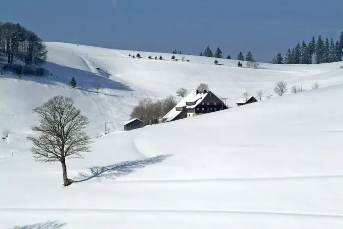 Framed Print : Winter landscape at Schauinsland, Black Forest, Baden-Wurttemberg, Germany, Europe Framed Print : Winter landscape at Schauinsland, Black Forest, Baden-Wurttemberg, Germany, Europe