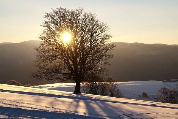 Winter landscape at Schauinsland, Black Forest, Baden-Wurttemberg, Germany, Europe
