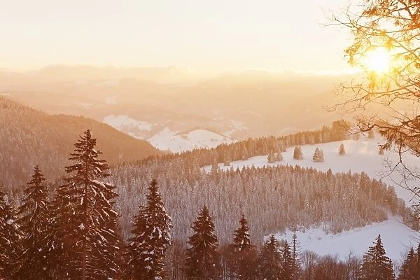 Winter landscape at sunrise, Belchen Mountain, Black Forest, Baden-Wurttemberg, Germany