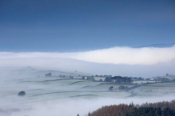 Winter mist, Eden Valley, Lower Pennines, Cumbria, England, United Kingdom, Europe