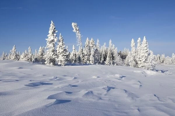 Winter Scenery, Churchill, Manitoba, Canada