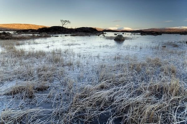 Winter view across frozen Lochain na h Achlaise at dawn, first light catching distant mountains