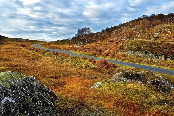 A winter view of a remote winding road through the colorful moors and hills of Ardnamurchan