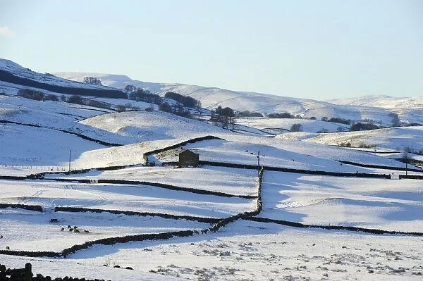 Winter view of snow covered fields, Wensleydale, Yorkshire Dales National Park