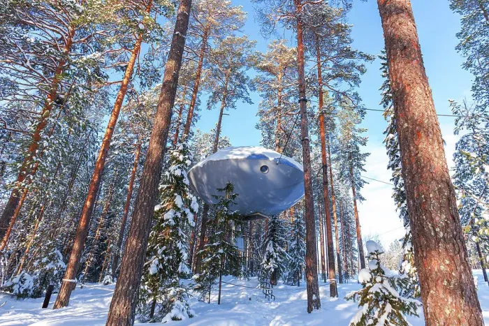 Framed Print : Winter view of UFO shaped room suspended among snow covered tall trees, Tree hotel, Harads, Lapland, Sweden, Scandinavia, Europe Framed Print : Winter view of UFO shaped room suspended among snow covered tall trees, Tree hotel, Harads, Lapland, Sweden, Scandinavia, Europe