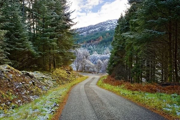 A winter view of a winding road through a wooded valley in the Ardnamurchan Peninsula
