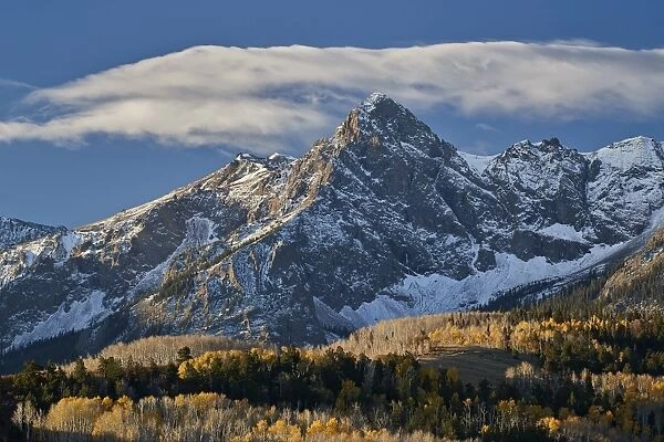 Wolcott Mountain in the fall with yellow and bare aspen, Uncompahgre National Forest