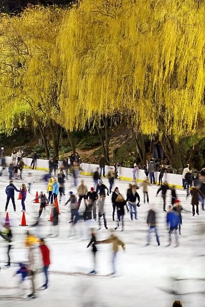 Wollman Ice rink in Central Park, Manhattan, New York City, New York, United States of America