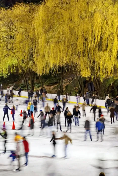 Framed Print : Wollman Ice rink in Central Park, Manhattan, New York City, New York, United States of America Framed Print : Wollman Ice rink in Central Park, Manhattan, New York City, New York, United States of America