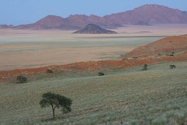 Wolvedans, Namib Rand Nature Reserve, Namibia, Africa
