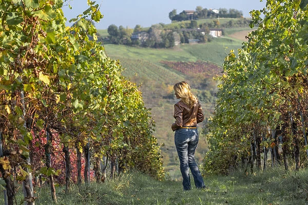Woman in a brown jacket standing in the middle of a yellow vineyard in autumn, Castelvetro di Modena, Emilia Romagna, Italy, Europe