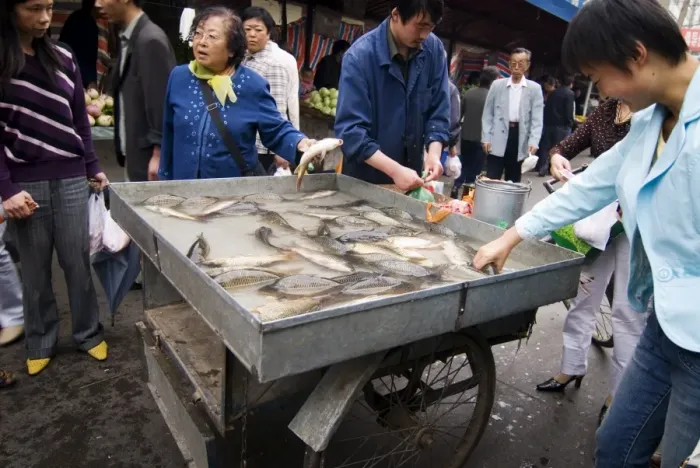 Framed Print : Woman buying fresh fish at market, Xining, Qinghai, China, Asia Framed Print : Woman buying fresh fish at market, Xining, Qinghai, China, Asia