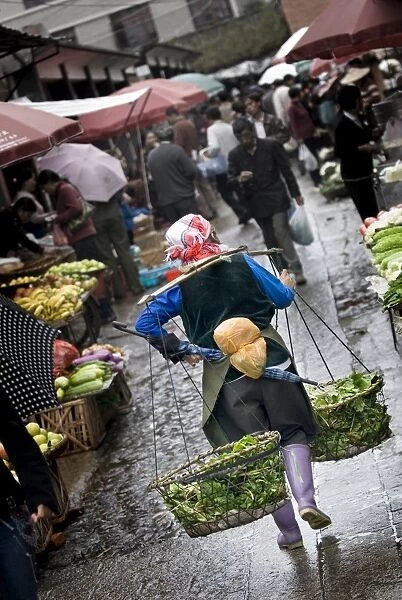 Woman carrying produce to market, Dali old town, Dali, Yunnan, China, Asia