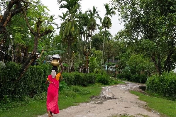 Woman carrying water, Assam, India, Asia