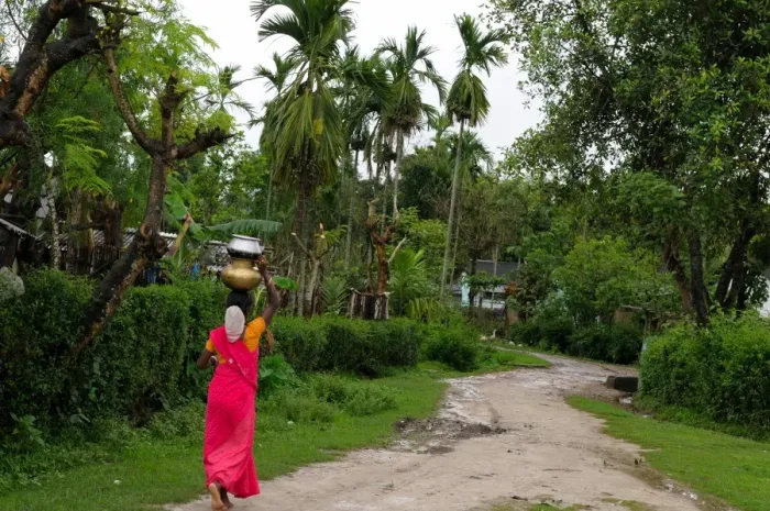 Framed Print : Woman carrying water, Assam, India, Asia