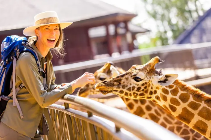 Framed Print : Woman enjoying the Giraffes at a local Elephant and Giraffe sanctuary, Kenya, East Africa, Africa Framed Print : Woman enjoying the Giraffes at a local Elephant and Giraffe sanctuary, Kenya, East Africa, Africa