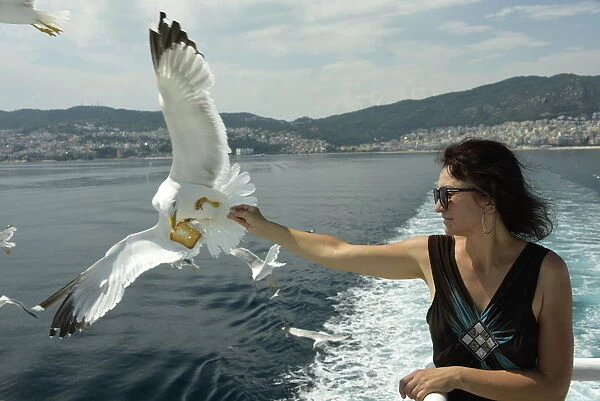 Woman feeding seagulls on a ferry from Kavala to Thassos, North Aegean Sea, Greek Islands