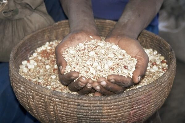 Woman holding handfuls of grain, Soddo, Ethiopia, Africa