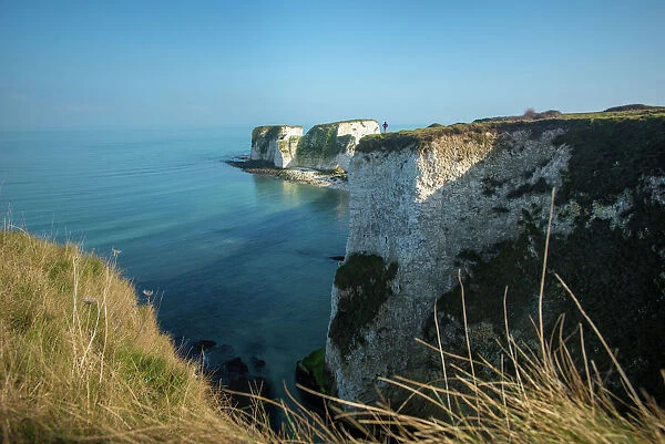 A woman looks out at Old Harry Rocks at Studland Bay in Dorset on the Jurassic Coast