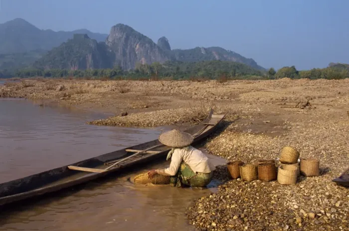 Framed Print : Woman panning for gold in the Mekong River Framed Print : Woman panning for gold in the Mekong River