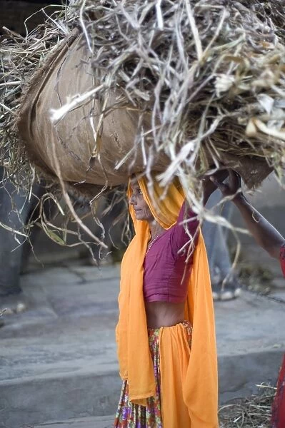 Woman in pink and orange carrying straw on her head to elephant stable