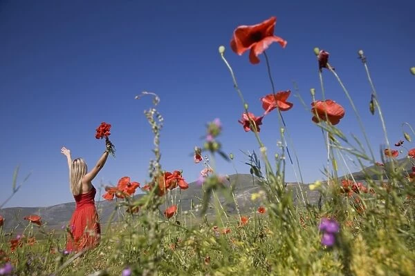 Woman in poppy field, Castelluccio di Norcia, Norcia, Umbria, Italy, Europe