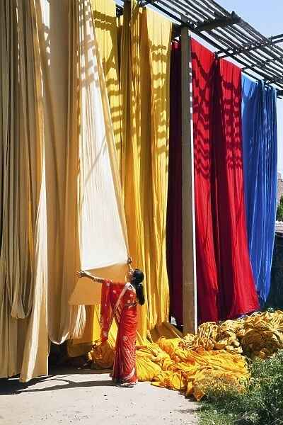 Woman in sari checking the quality of freshly dyed fabric hanging to dry, Sari garment factory, Rajasthan, India, Asia