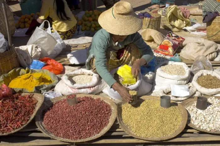 Framed Print : Woman selling peanuts and other pulses at local market, Kalaw, Shan State Framed Print : Woman selling peanuts and other pulses at local market, Kalaw, Shan State