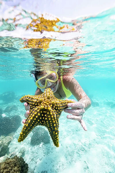 Woman showing a yellow starfish underwater in the tropical lagoon, Zanzibar, Tanzania, East Africa, Africa
