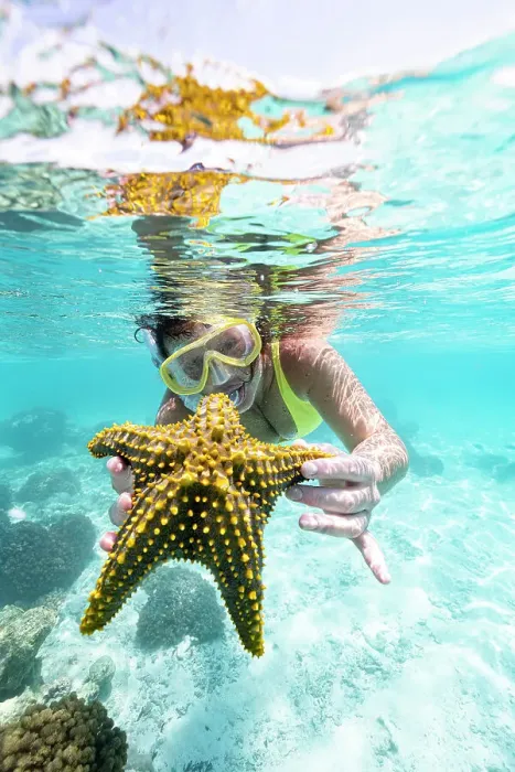 Framed Print : Woman showing a yellow starfish underwater in the tropical lagoon, Zanzibar, Tanzania, East Africa, Africa