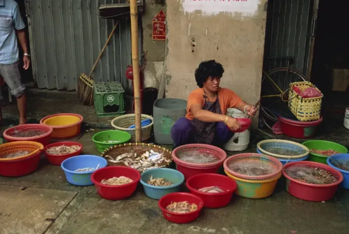 Framed Print : Woman squatting on the pavement selling fish from plastic bowls in the fish market at Taio on Lantau Island, Hong Kong Framed Print : Woman squatting on the pavement selling fish from plastic bowls in the fish market at Taio on Lantau Island, Hong Kong