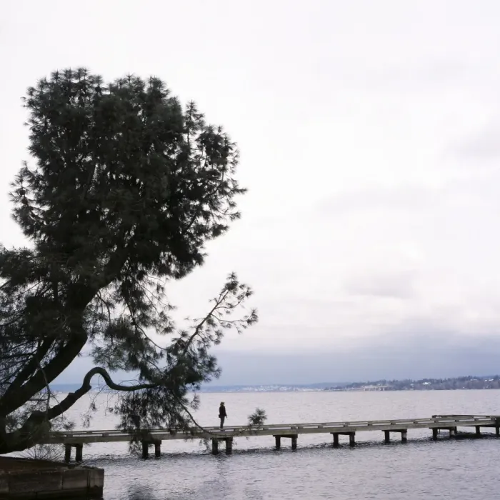 Framed Print : Woman stands on dock next to pine tree, Lake Washington, Seattle, Washington State Framed Print : Woman stands on dock next to pine tree, Lake Washington, Seattle, Washington State