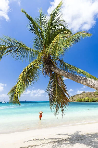 Woman with straw hat looking at the palm trees beach standing in the turquoise water of Caribbean Sea, Antigua, West Indies, Caribbean, Central America