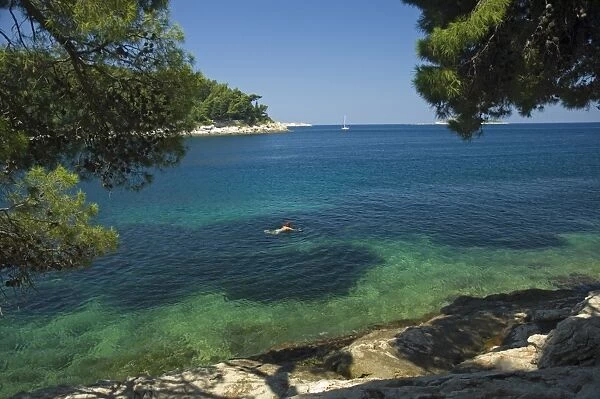 Woman swimming off the Dalmatian coast, Cavtat, Dalmatia, Croatia, Europe