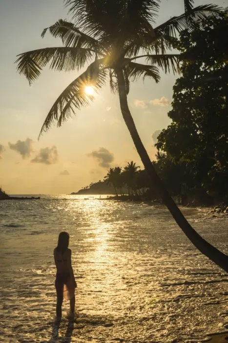 Framed Print : A woman underneath a palm tree on Mirissa Beach at sunset, South Coast of Sri Lanka, Southern Province, Sri Lanka, Asia Framed Print : A woman underneath a palm tree on Mirissa Beach at sunset, South Coast of Sri Lanka, Southern Province, Sri Lanka, Asia